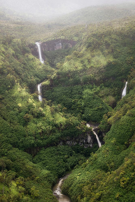 Ribbon Streams II Poster Print - Danny Head