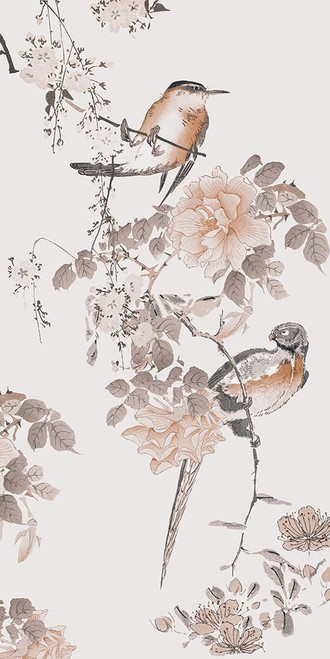 Birds of Asia II Poster Print - Andrea Haase