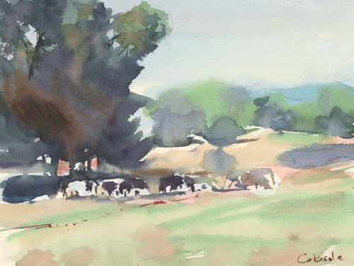 Cows Grazing-Somerset Poster Print - Stephen Calcasola