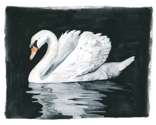 Midnight Swim I Poster Print - Grace Popp