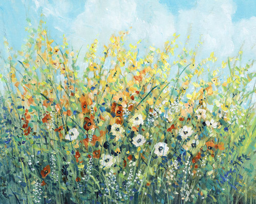 Summer Flowering I Poster Print - Tim OToole