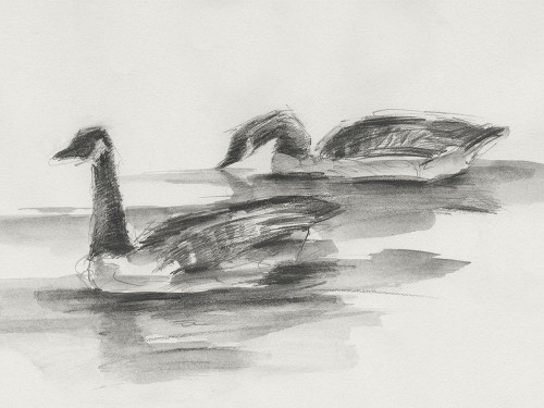 Geese Study II Poster Print - Ethan Harper