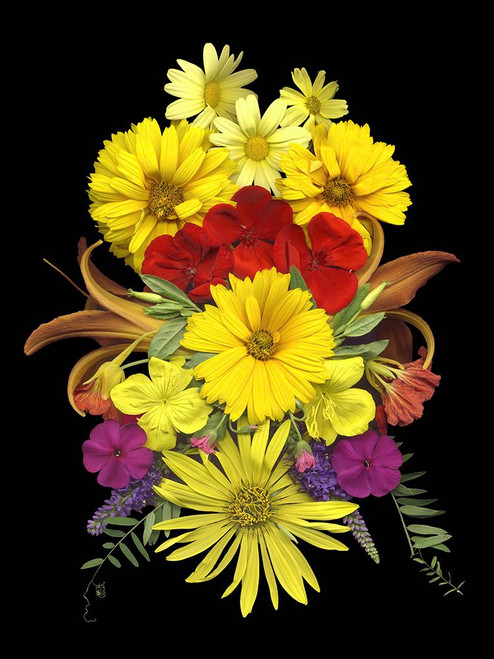 Flower Drama V Poster Print - Judy Stalus