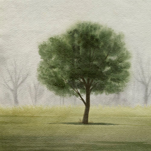 Awakening Tree II Poster Print - Grace Popp