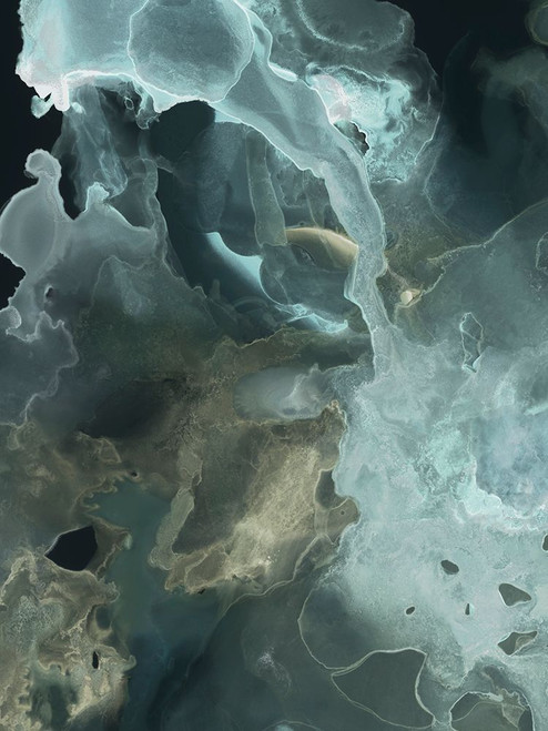 Gilded Spector II Poster Print - Grace Popp