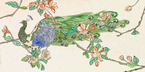 Emerald Peacock V Poster Print - Melissa Wang