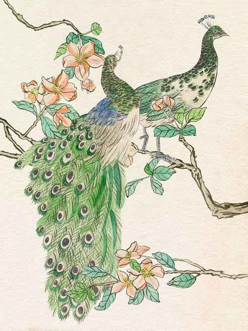 Emerald Peacock IV Poster Print - Melissa Wang