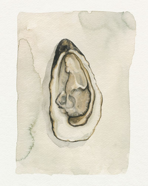 Soft Half Shell I Poster Print - Grace Popp