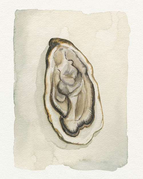 Soft Half Shell II Poster Print - Grace Popp