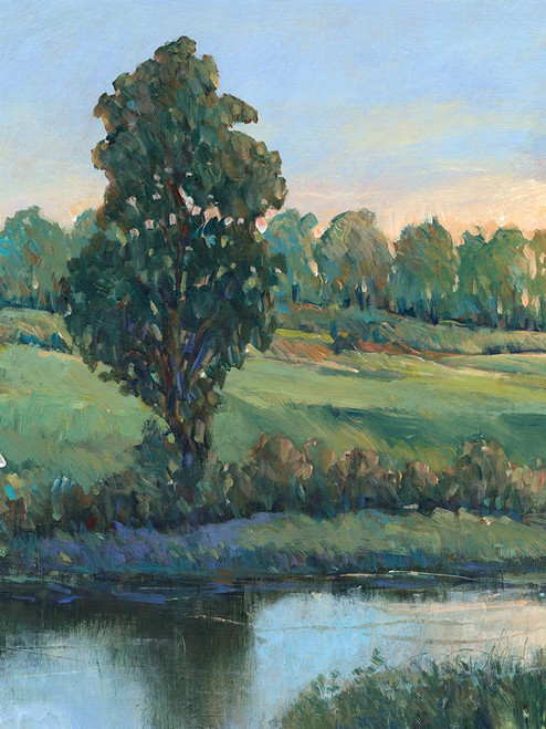 Tree by the Riverbank II Poster Print - Tim OToole