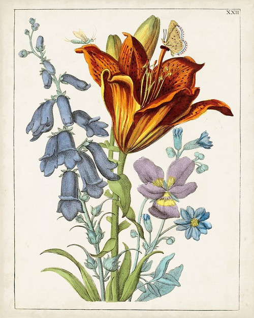 Dutch Florals VI Poster Print - Unknown