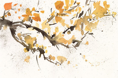 Watercolor Tree Branch I Poster Print - Samuel Dixon
