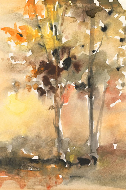 Fall Foliage Watercolor II Poster Print - Samuel Dixon