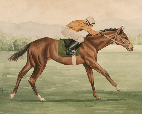 Vintage Equestrian II Poster Print - Grace Popp