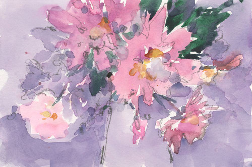 Floral Occasion II Poster Print - Samuel Dixon