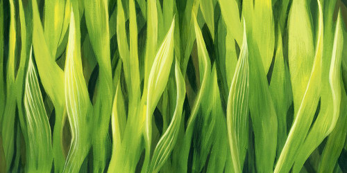 Blades of Grass III Poster Print - Grace Popp