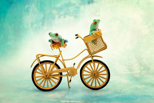 Hanging On X Poster Print - PHBurchett