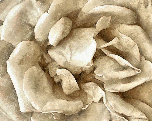 Neutral Wall Flower II Poster Print - Alonzo Saunders