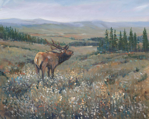 Western Wildlife I Poster Print - Tim OToole