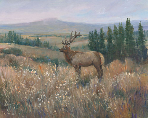 Western Wildlife II Poster Print - Tim OToole