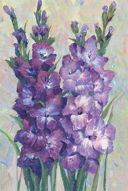 Gladiolas Blooming II Poster Print - Tim OToole