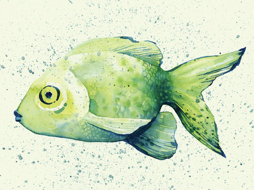Speckled Freshwater Fish I Poster Print - Grace Popp