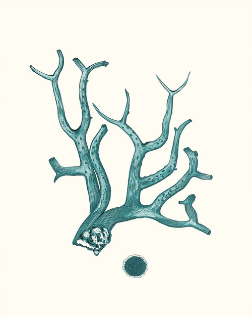 Antique Coastal Coral IX Poster Print - Johann Esper