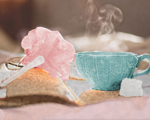 Cozy Morning Poster Print - Graphics Studio SD