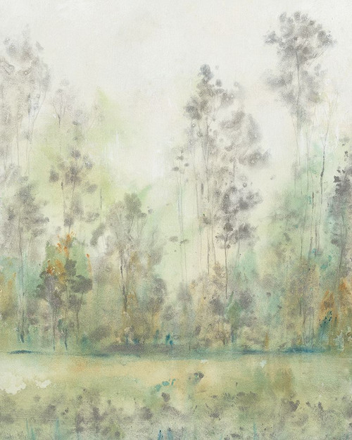 Before the Marsh I Poster Print - Tim OToole