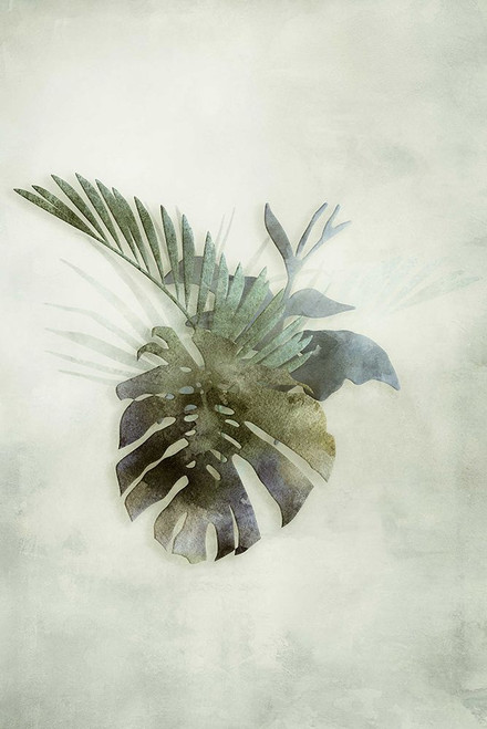 Tropical Night in Green IV Poster Print - Andrea Haase