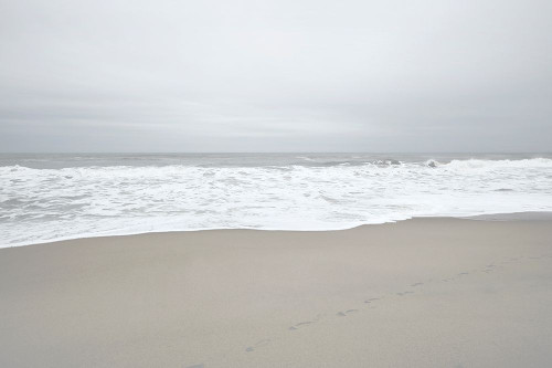 November Beach II Poster Print - Sharon Chandler