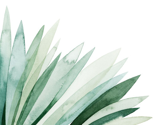 Watercolor Plume II Poster Print - Grace Popp