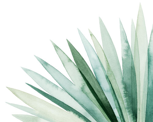 Watercolor Plume I Poster Print - Grace Popp