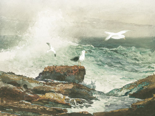 Green Ocean I Poster Print - Steve Hunziker