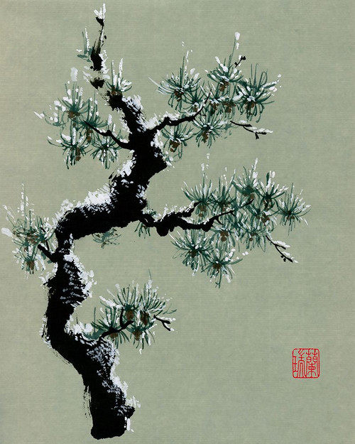 Snowy Pine II Poster Print - Nan Rae