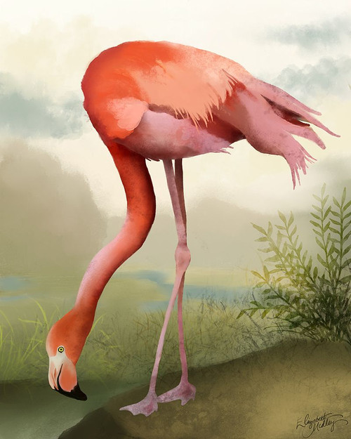 Flamingo Study II Poster Print - Elizabeth Medley