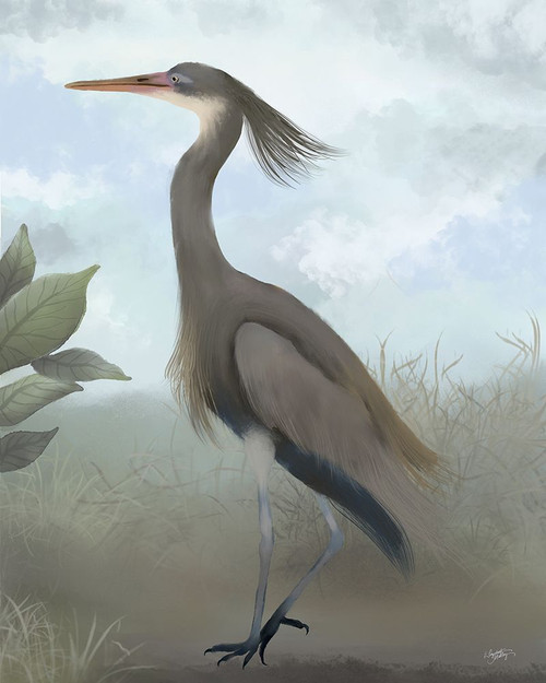 Heron Study III Poster Print - Elizabeth Medley