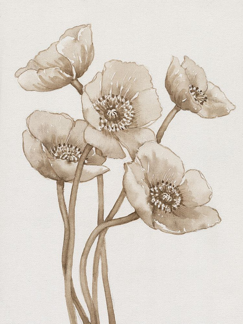 Poppies in Sepia II Poster Print - Tim OToole