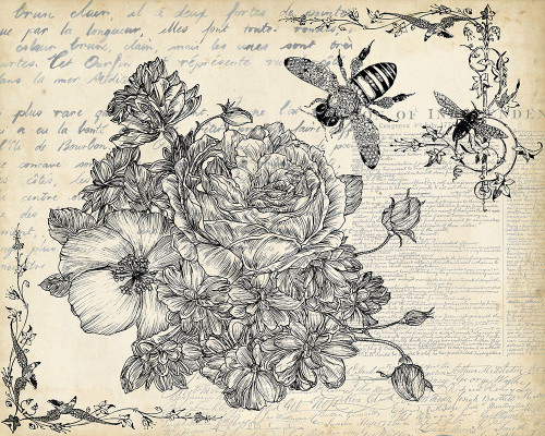 Ink Flowers II Poster Print - Melissa Wang