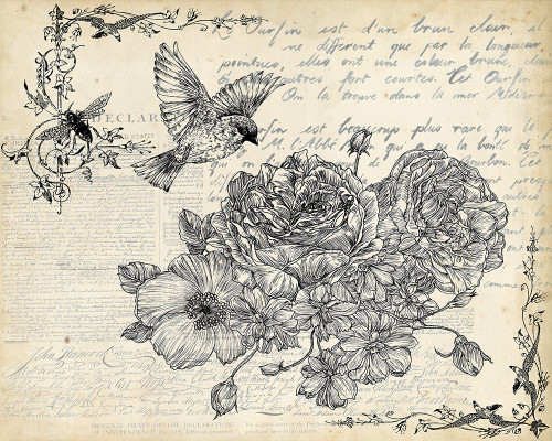 Ink Flowers I Poster Print - Melissa Wang