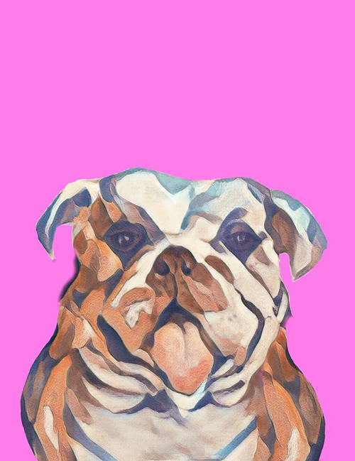 Spoiled Puppers In Pink Poster Print - Patricia Pinto Spoiled Puppers In Pink Poster Print - Patricia Pinto