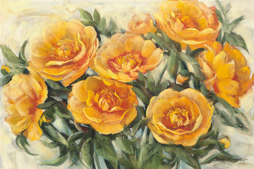 Golden Peonies Poster Print - Carol Rowan