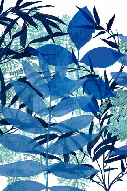 Morning Dew I Poster Print - Naomi McCavitt