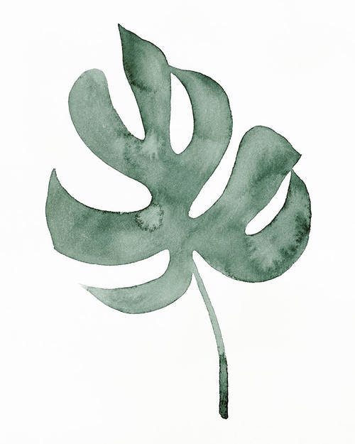 Indoor Plant Press II Poster Print - Grace Popp