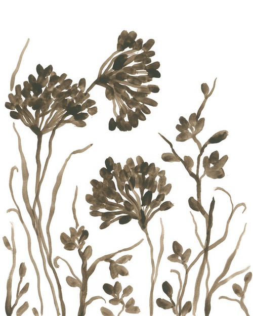 Sepia Petal Silhouettes I Poster Print - June Erica Vess