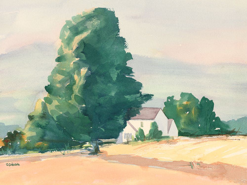 Summer Time Poster Print - Stephen Calcasola