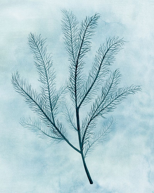 Clouds and Coral II Poster Print - Grace Popp