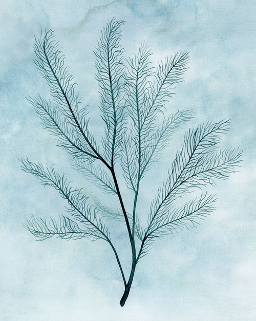 Clouds and Coral I Poster Print - Grace Popp