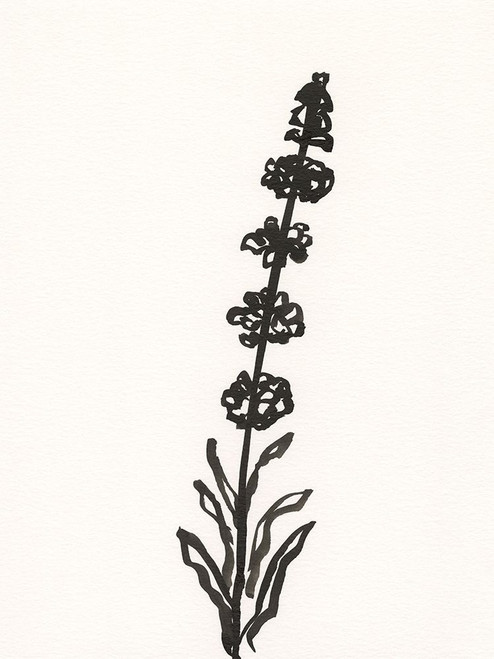 Ink Botanical Sketch VII Poster Print - J. Holland