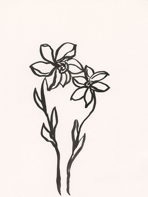 Ink Botanical Sketch IV Poster Print - J. Holland